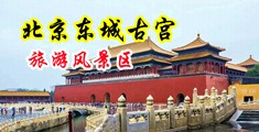 激动淫荡的鸡巴日逼中国北京-东城古宫旅游风景区